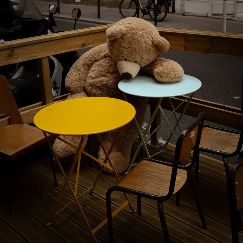 Oso de peluche grande (ejemplo)
